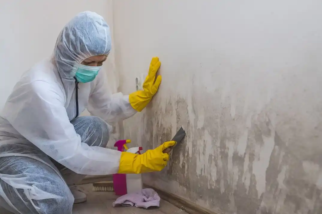 water damage restoration service Maple Leaf